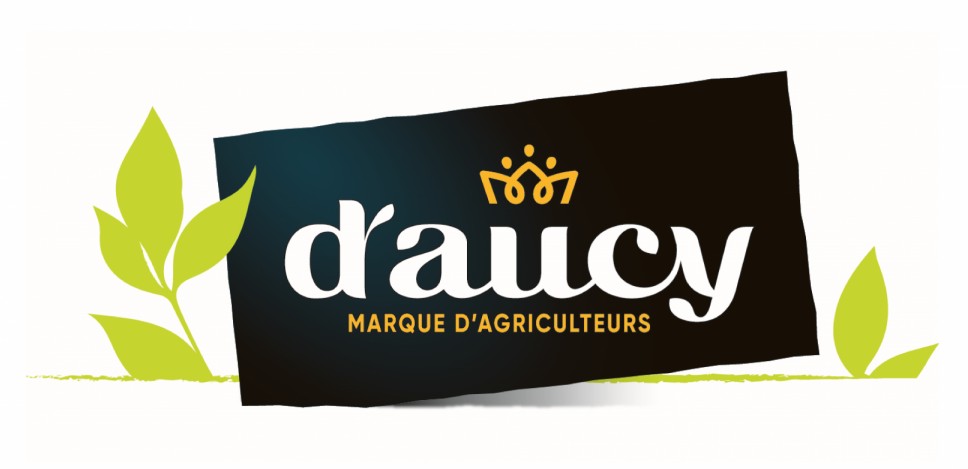 Logo_marque_d'aucy